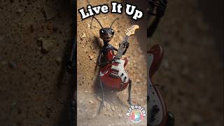 Cicada Spider and Ants Rock Airbournes quotLive It Upquot  Epic Bug Muzak Cover [upl. by Bashee]