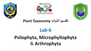 Section 6 Plant Taxonomy  Psilophyta Microphyllophyta amp Arthrophyta [upl. by Aihsoj]