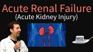 Acute Kidney Injury  Acute Renal Failure Explained Clearly  BUN Creatinine Ratio [upl. by Aileon]