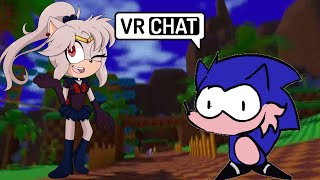 AN ADORABLE BOOTLEG Sailor Peace Meets Hog at Green Hill Zone feat   VRChat [upl. by Ribak]