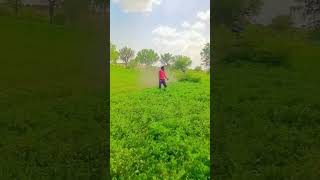 Mera Jaat Zindabad  Haryanvi Dj Song 2024  Video Coming Soon [upl. by Down]