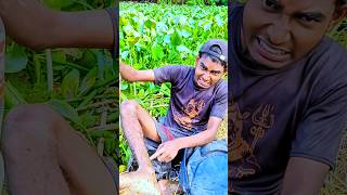 জংলি পুকুরে সারাদিন কাটালাম  minivlog vlog [upl. by Bradford232]