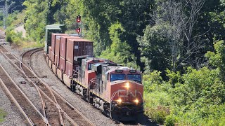 Tuesday Morning at Bayview Junction • September 10 2024 [upl. by Ellehsor]