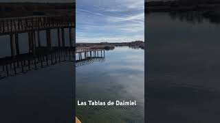 La Tablas de Daimiel parquenatural lagunas [upl. by Henderson]