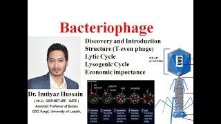 Bacteriophage Discovery Structure Life Cycle Lytic Cycle Lysogenic Economic importance [upl. by Reggi]