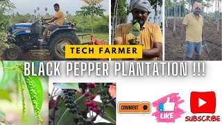 Tech Farmer  Black Pepper  Plantation  Mini Project  IT Guy  Sustainable Farming  Save [upl. by Adil]