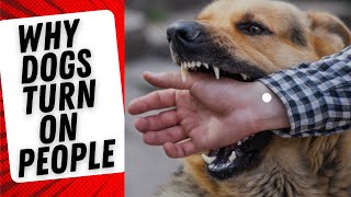 Why dogs turn on their owners [upl. by Palumbo]