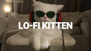 Playlist Lofi Kitten  My everything [upl. by Gebhardt2]