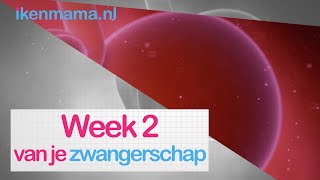 2 weken zwanger Bekijk eerste symptomen en meer informatie over je baby  ikenmamanl [upl. by Monro750]