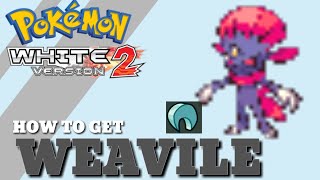 How To Evolve Sneasel into Weavile in Pokemon White 2 Version [upl. by Eceryt]