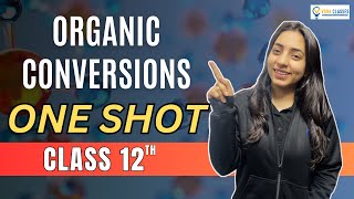 All ORGANIC CONVERSIONS of NCERT Class 12 ONESHOT  Boards  NEET neet cbse cbseboard neet2024 [upl. by Dorsman122]