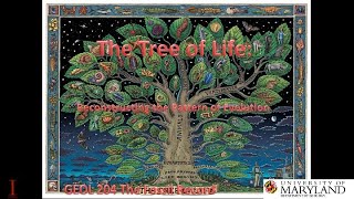 Lecture 8 The Tree of Life Reconstructing the Pattern of Evolution [upl. by Akerboom]