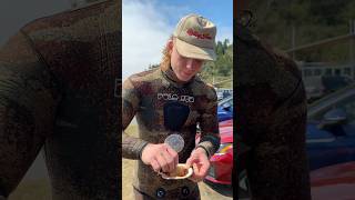 Trying Raw Oregon Scallop [upl. by Atnod63]