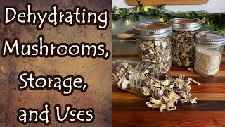 Dehydrating Mushrooms Storage and Uses [upl. by Olnay537]