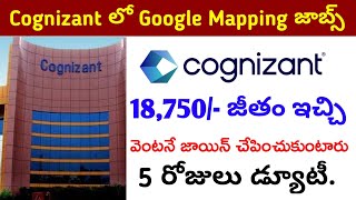 మాకు వెంటనే జాయిన్ అయ్యే వారు కావాలి Google Mapping Jobs Cognizant Jobs Latest  Jobs In Hyderabad [upl. by Borer569]