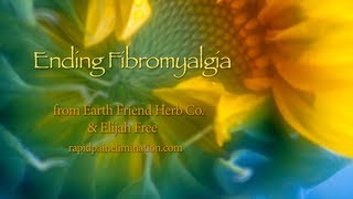 Ending Fibromyalgia [upl. by Atinaej]