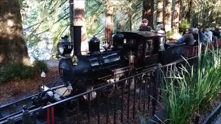 Redwood Valley Railway Sunday November 10 2024 [upl. by Annahaj]