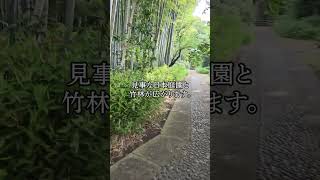 【烏山寺町｜千歳烏山】世田谷の小京都！ 烏山寺町で寺巡り [upl. by Elyod731]