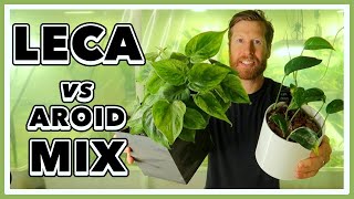 LECA vs AROID Mix  Which Should YOU use [upl. by Eb550]