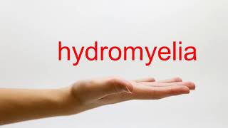 How to Pronounce hydromyelia  American English [upl. by Rolyks]