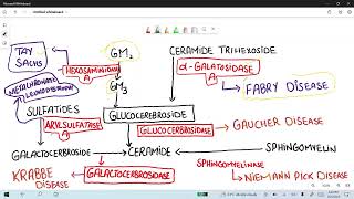 Tay Sachs vs Niemann Pick Disease High yield Series [upl. by Cory49]