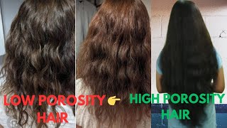 Low Porosity Hair Care 👌 [upl. by Nesto]