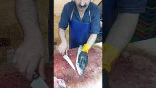 How To Remove Fish Trout Bones [upl. by Artimed615]