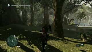 Assassins Creed IV Black Flag 845 468 Treasure location [upl. by Anoirb699]