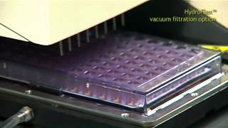 Vacuum filtration with HydroFlex™ microplate washer for PCR clean up and beads [upl. by Luckin]