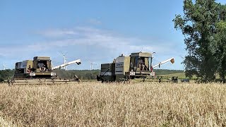 Fortschritt E 514 und E 516B in der Roggenernte [upl. by Mariano441]