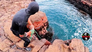 Sacando Mariscos en el Mar en las Peñas  Como extraer Mariscos [upl. by Sontag]