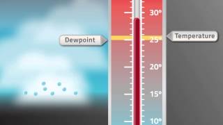 VFR into IMC Temperature and Dewpoint [upl. by Roda]