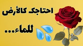 ✨ قصائد تقول quotأحبكquot بكل إحساس❤️ [upl. by Kulseth]