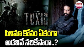 సినిమా కోసం ఏకంగా అడవినే నరికేసారా  Forest Land Destroyed For Yashs Toxic Film Set  Actor Yash [upl. by Rajewski]