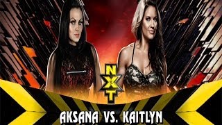 WWE 2K14 Aksana vs Kaitlyn [upl. by Sybille]