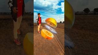 Creative mobile Photography📲📸 shorts creative photography trendingshorts viralshorts ytshorts [upl. by Adnawyek]