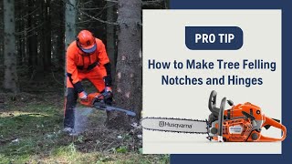 How To Make Tree Felling Notches And Hinges With A Chainsaw  Husqvarna [upl. by Walston]