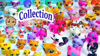 Mega Littlest Pet Shop Collection Tour All Cats Dogs Fairy More Animals LPS Toys Videos Cookieswirlc [upl. by Marmaduke791]