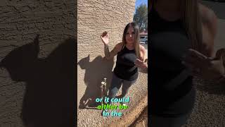 How to shut off an antisiphon valve Emergency Irrigation System Repair in Scottsdale AZ [upl. by Yecam]