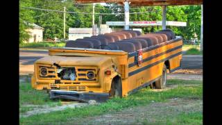 Crazy School Buses [upl. by Halette]