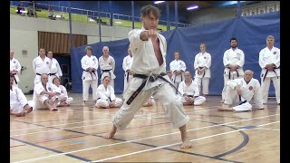 rick hotton Sensei Quebec 2023  relaxation jiin [upl. by Lilla973]