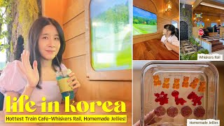 Weekly Vlog 🇰🇷  Train Cafe Whiskers Rail  위스커스레일 making homemade jellies update about tomatoes [upl. by Brigette]