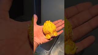 RARE FROG 🐸 funny frogs shortsviral reptiles JamshedAsmiInformativeChannel jimmyjunaid [upl. by Wasson]