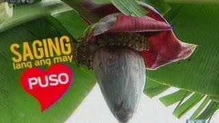 Good News Saging lang ang may puso [upl. by Salkin894]