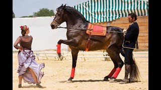 Jerez Feria del Caballo Paco de Lucia Entre dos aguas HD 1080 [upl. by Buehrer347]