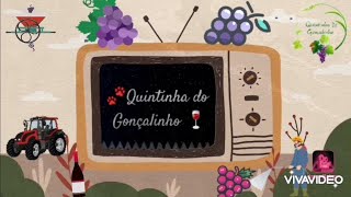 Intro principal 🐾 Quintinha do Gonçalinho 🍷 com tema sonoro atualizado [upl. by Stanly]