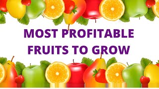 MOST PROFITABLE FRUITS TO GROW TO MAKE MONEY [upl. by Eiruam]