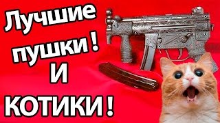 Лучшие пушки и котики   Loot The Game [upl. by Ettelrac]