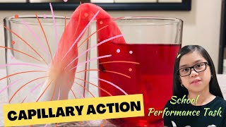 Capillary Action Explained In simple words  Easy Science Experiment  Performance Task [upl. by Munsey]