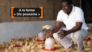 Burkina Faso  A la ferme « Dix poussins » [upl. by Gizela]